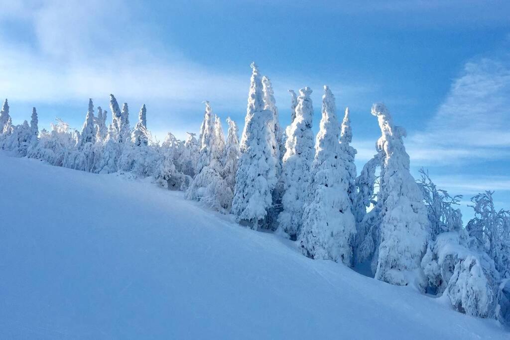 The Mountainside By Escapades Tremblant Apartment Mont-Tremblant Ngoại thất bức ảnh