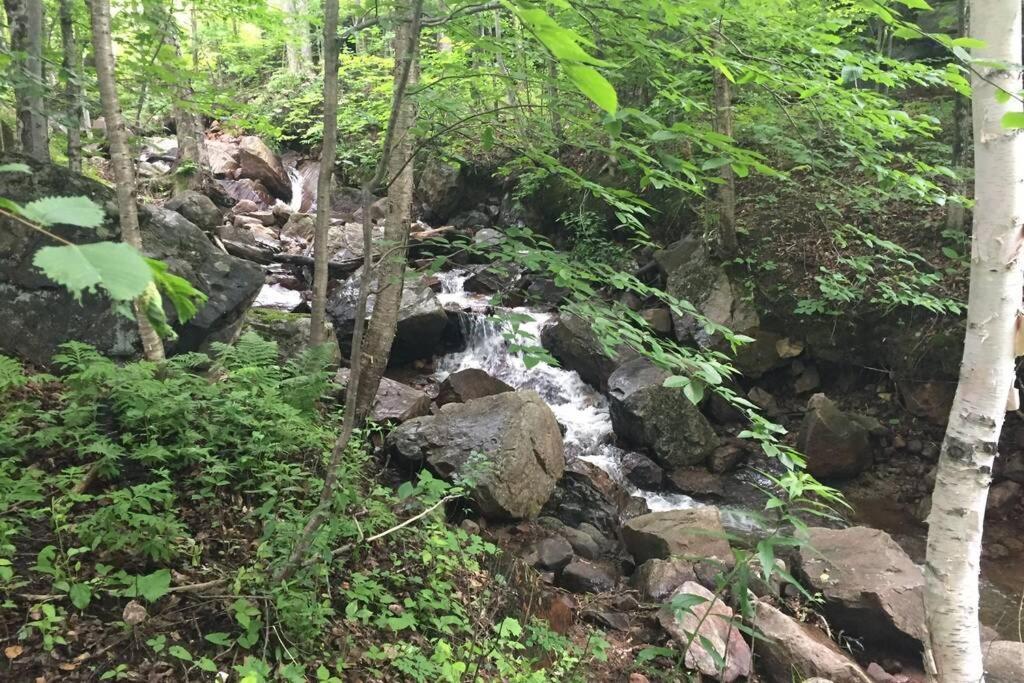 The Mountainside By Escapades Tremblant Apartment Mont-Tremblant Ngoại thất bức ảnh